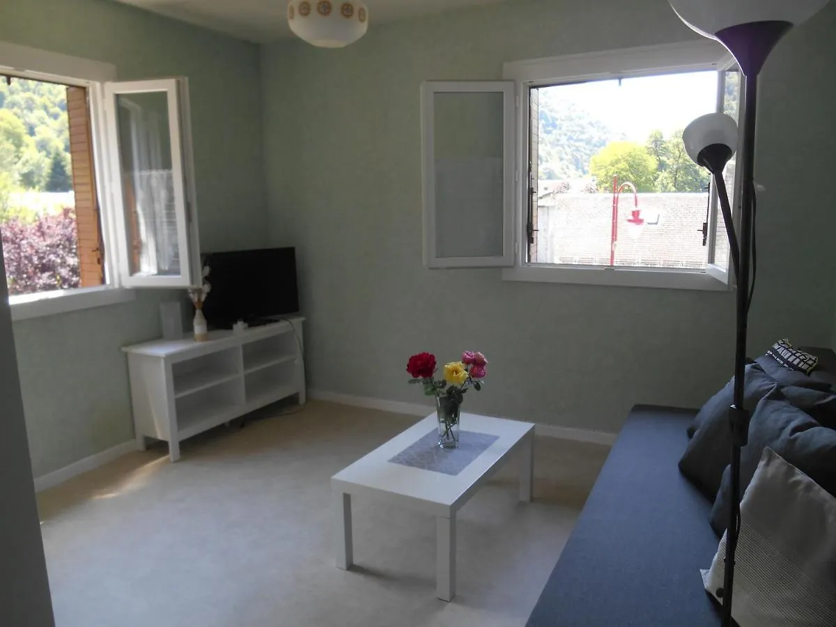 Appartement Vallee De Luchon Salles-et-Pratviel Apartment